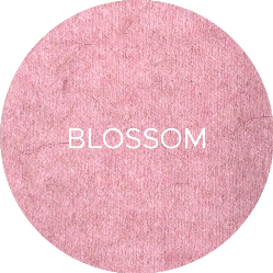088-Blossom-28