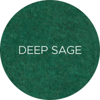 901-DeepSageweb