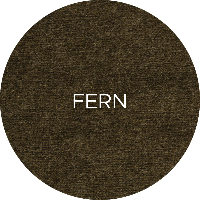 987-Fern-6