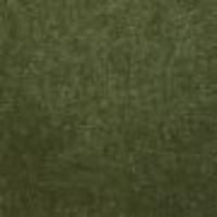 Moss-295